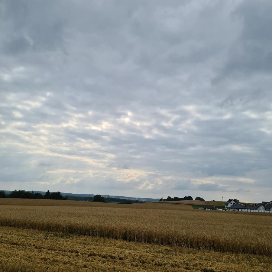 Sowi Dworek Holiday home