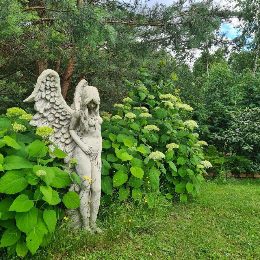Sowi Dworek Holiday home Sychowo